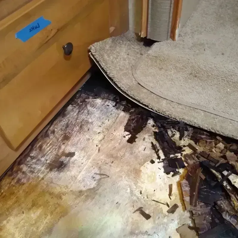 Wood Floor Water Damage in Newton, IL